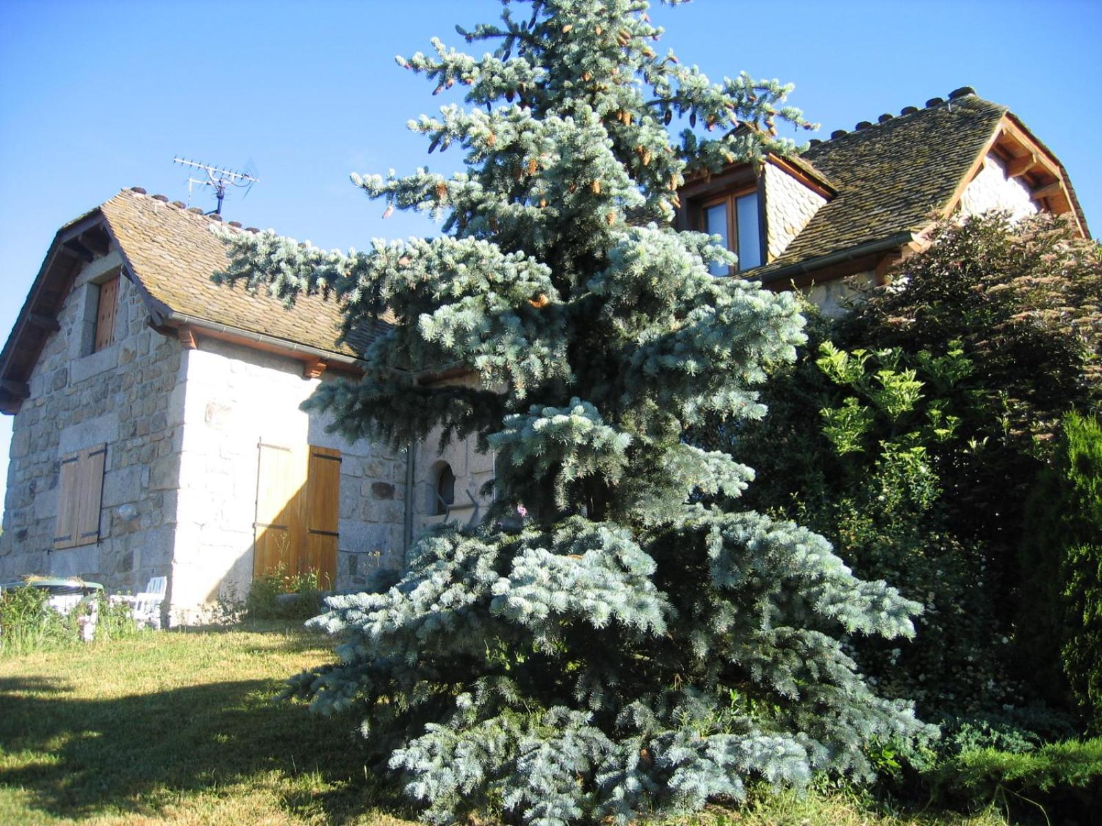 Lozere Aubrac Margeride Promo Lejlighed Saint-Alban-sur-Limagnole Eksteriør billede