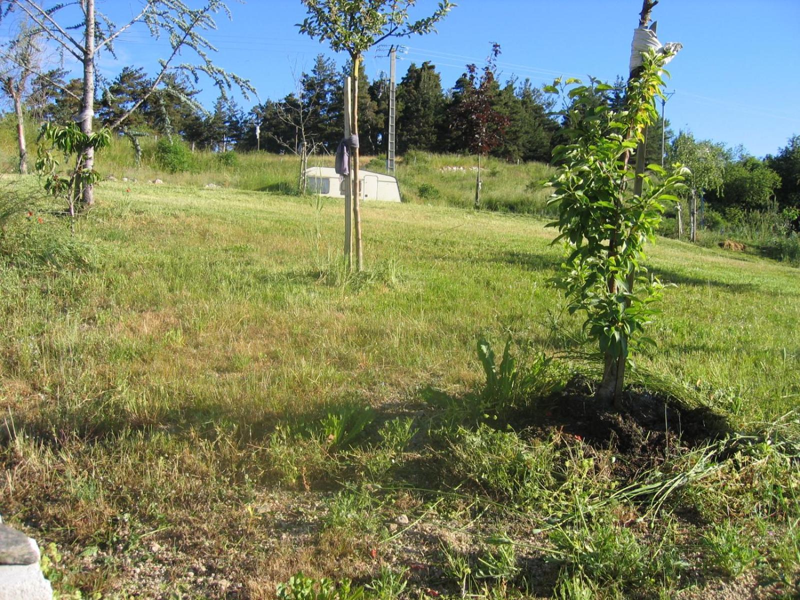 Lozere Aubrac Margeride Promo Lejlighed Saint-Alban-sur-Limagnole Eksteriør billede