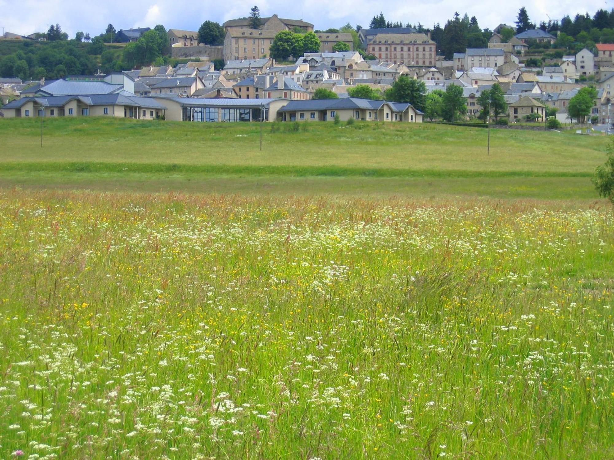 Lozere Aubrac Margeride Promo Lejlighed Saint-Alban-sur-Limagnole Eksteriør billede